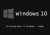 bash_windows